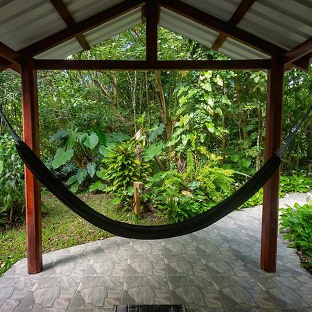 Cabanas Valle Campanas - Monteverde, Costa Rica Buitenkant foto